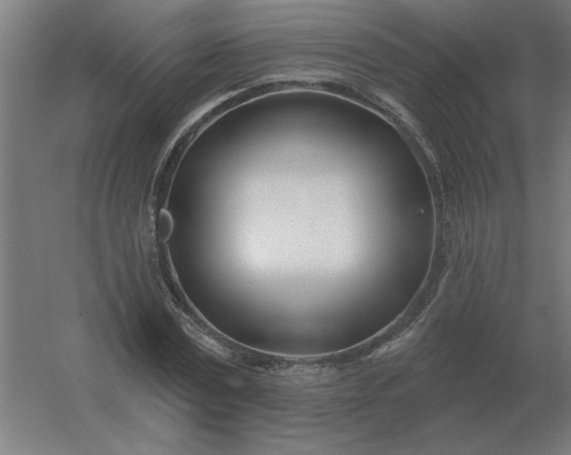 X0000054420779200508121750