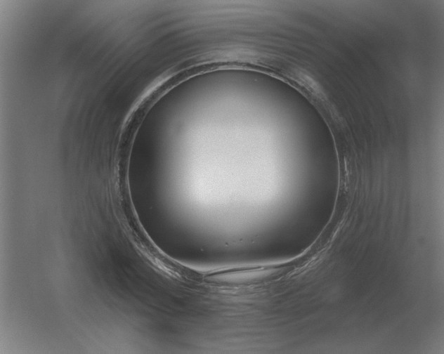 X0000054420780200508121750