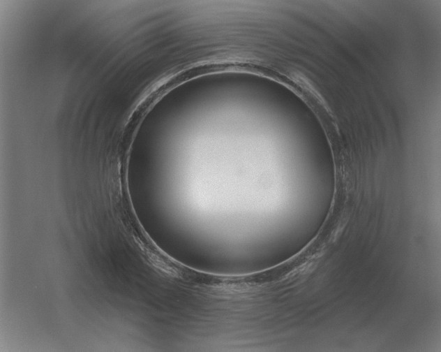 X0000054420781200508121750