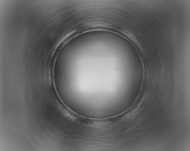 X0000054420782200508121750