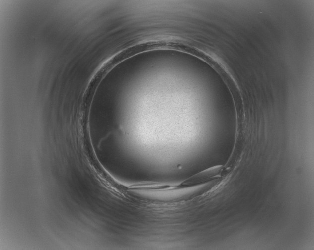 X0000054420783200508121750