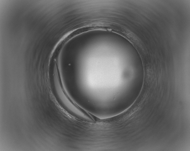 X0000054420784200508121750