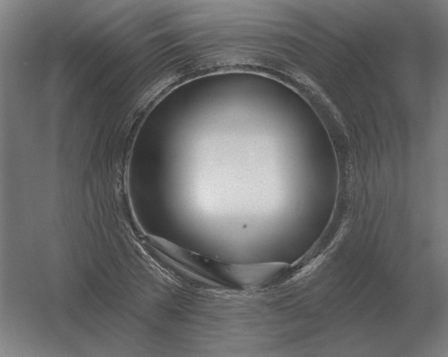 X0000054420785200508121750