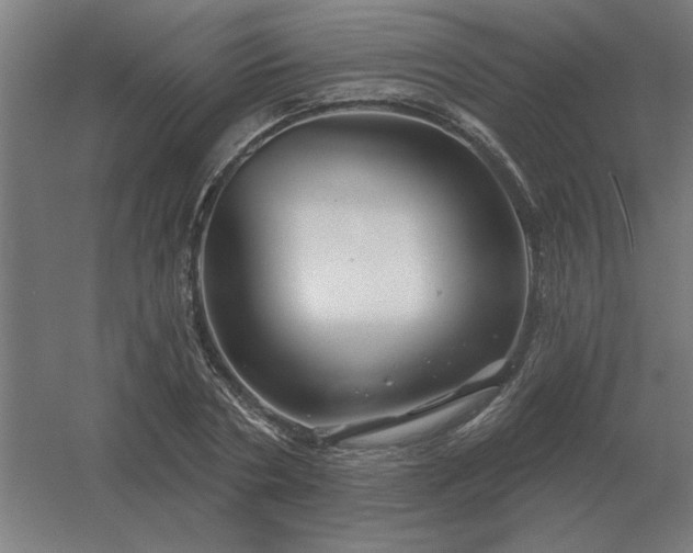 X0000054420786200508121750