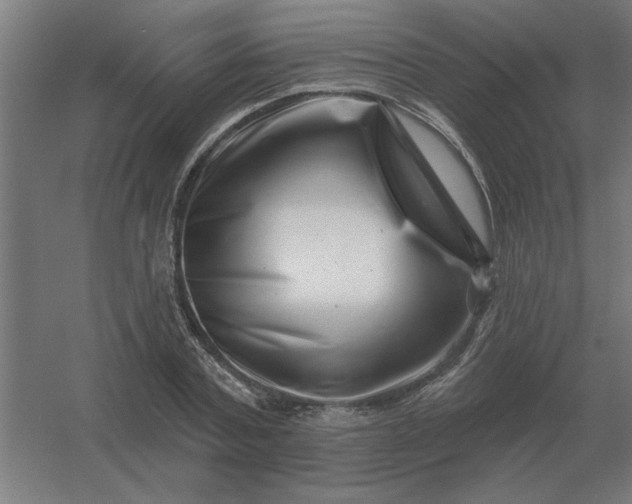 X0000054420787200508121750