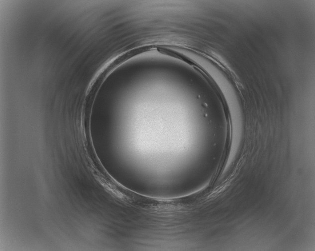 X0000054420788200508121750