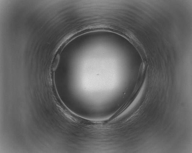 X0000054420789200508121750