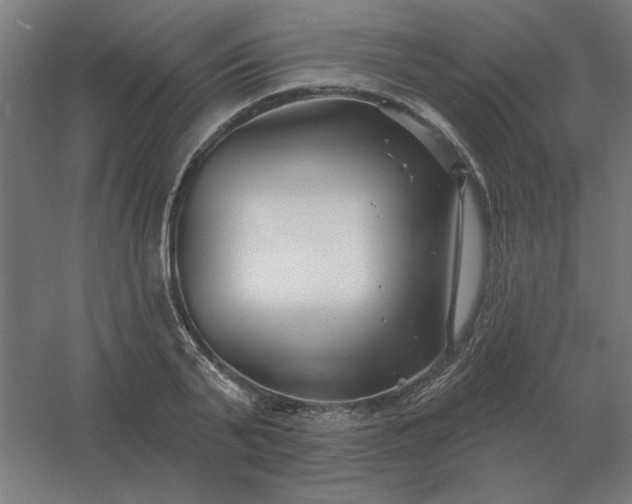 X0000054420791200508121750