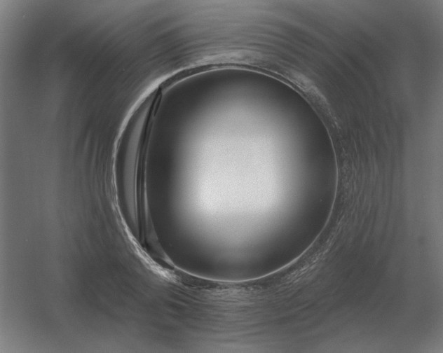 X0000054420792200508121750