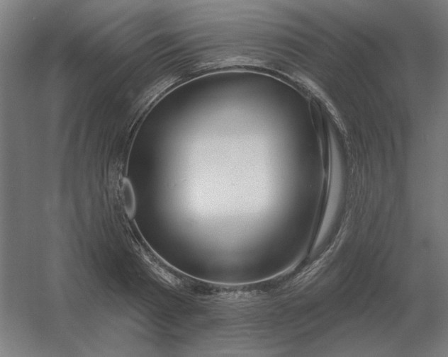 X0000054420793200508121750