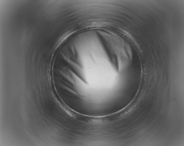 X0000054420794200508121750