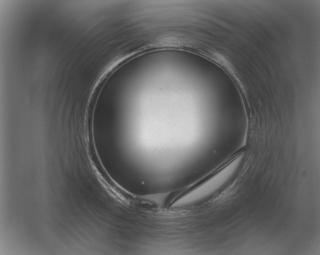 X0000054420795200508121750