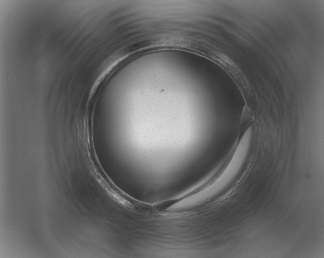 X0000054420796200508121750