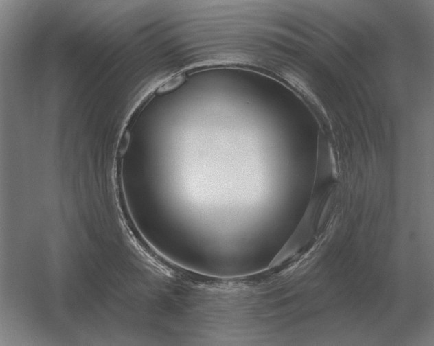 X0000054420797200508121750