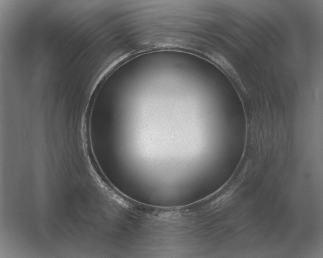 X0000054420798200508121750