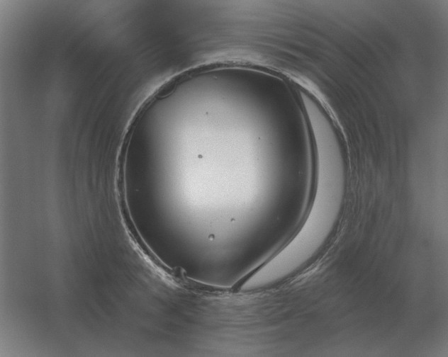 X0000054420799200508121750