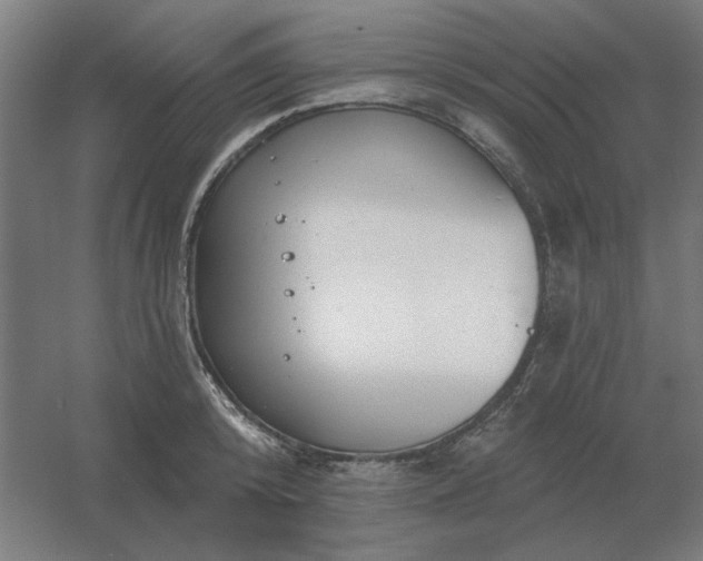 X0000054420800200508121750