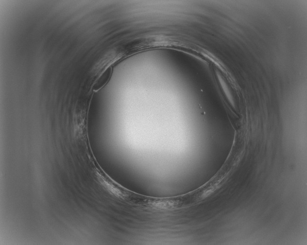 X0000054420801200508121750