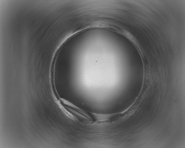 X0000054420803200508121750