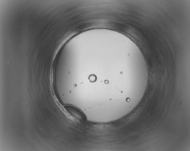 X0000054420804200508121750