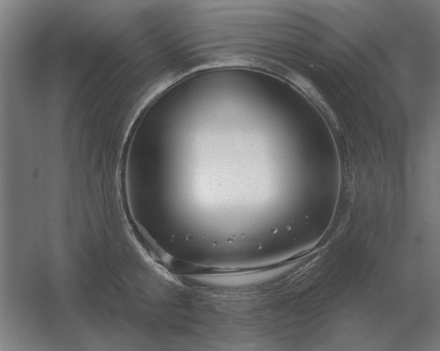 X0000054420805200508121750