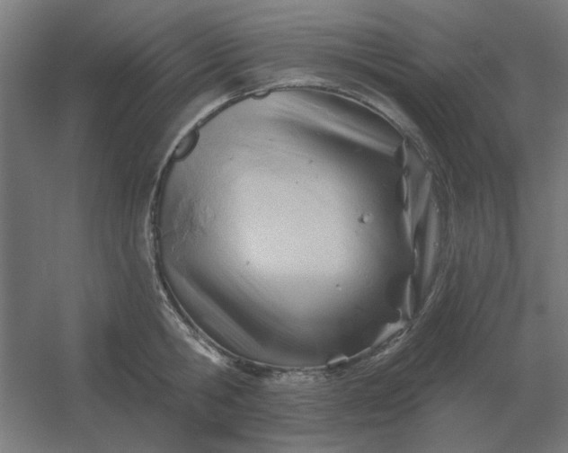 X0000054420806200508121750