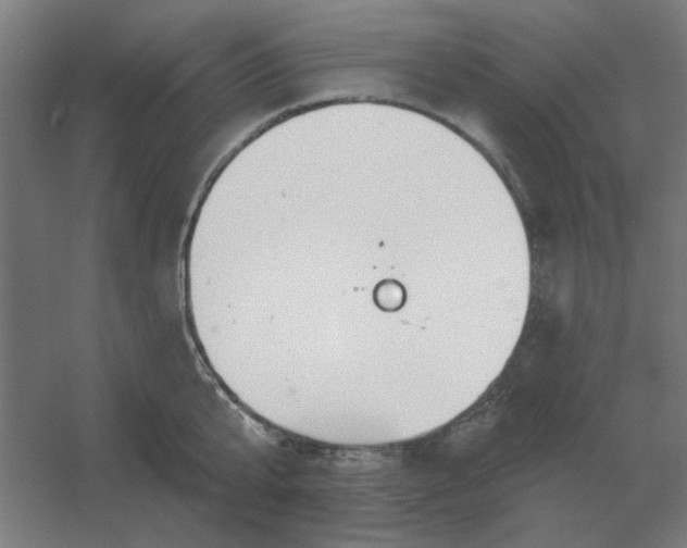 X0000054420807200508121750