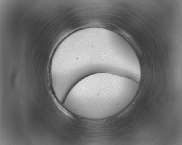 X0000054420808200508121750