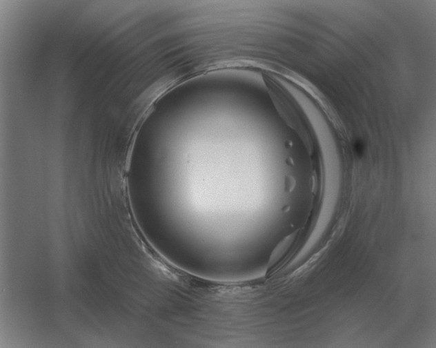 X0000054420809200508121750