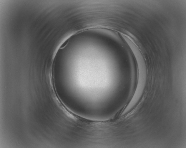 X0000054420812200508121750