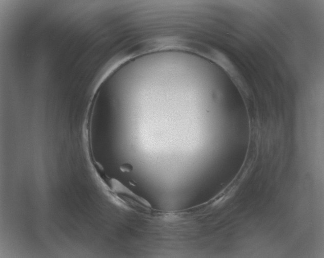 X0000054420814200508121750