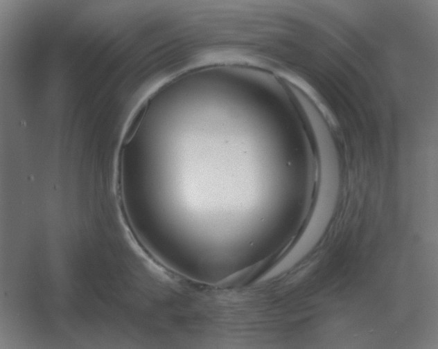 X0000054420815200508121750