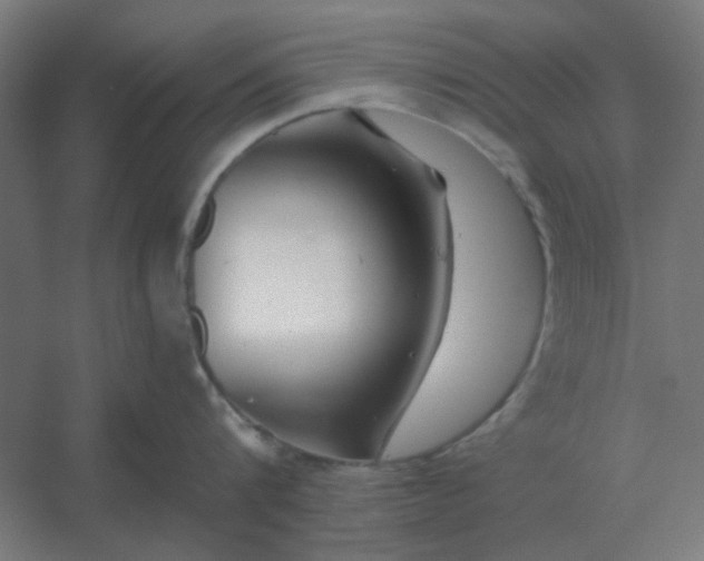 X0000054420816200508121750