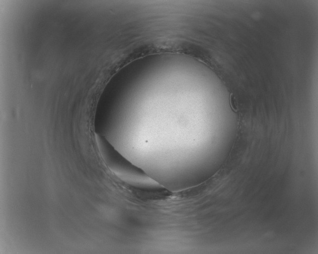 X0000054420817200508121749