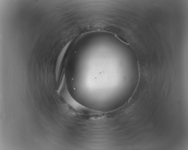 X0000054420818200508121749