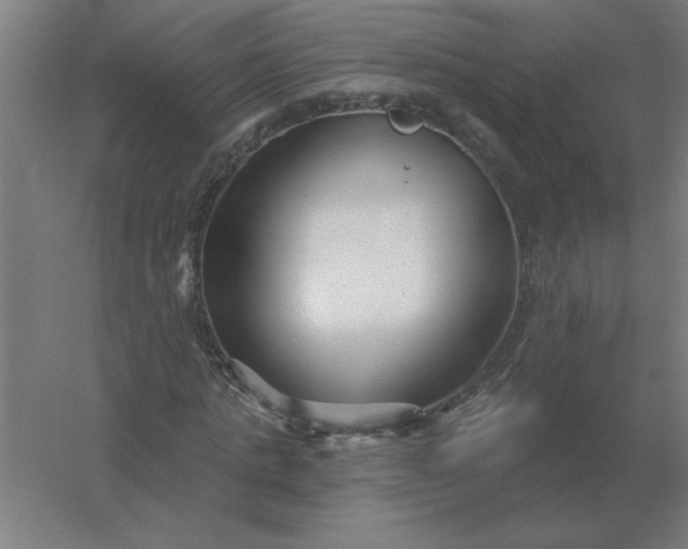 X0000054420821200508121749