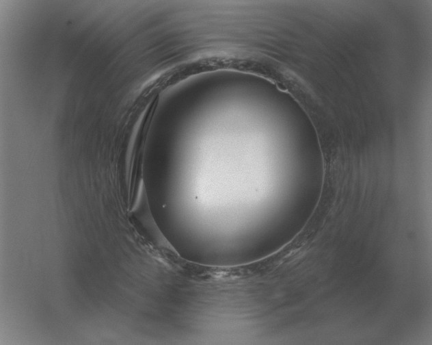 X0000054420822200508121749