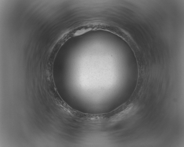 X0000054420823200508121749