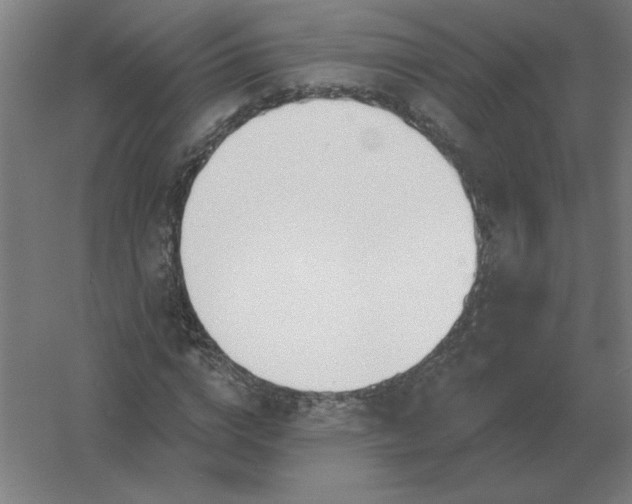 X0000054420824200508121749