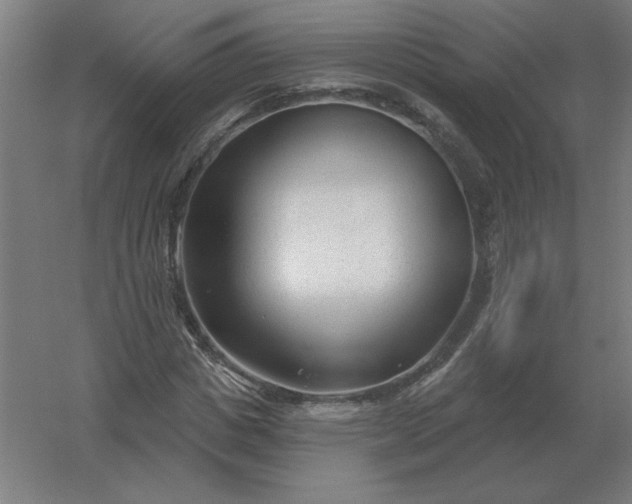 X0000054420825200508121749