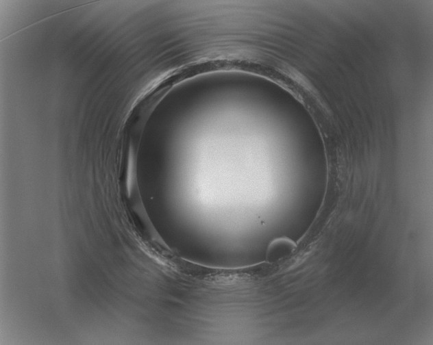 X0000054420826200508121749