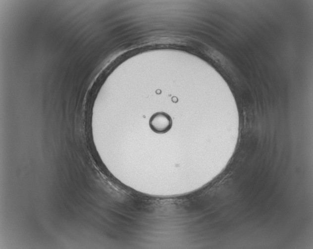 X0000054420828200508121749