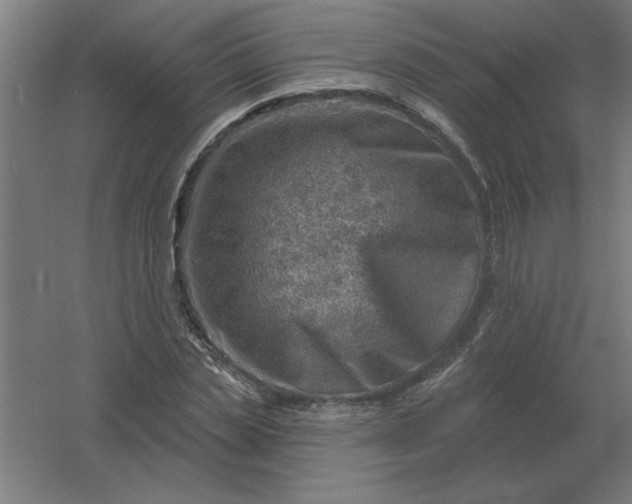 X0000054420829200508121749