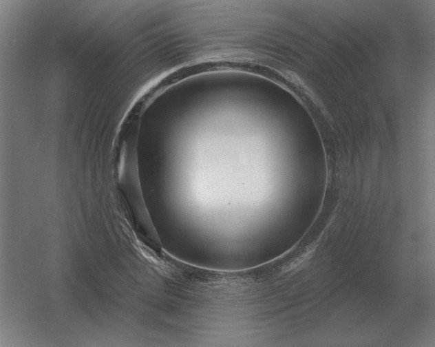 X0000054420830200508121749