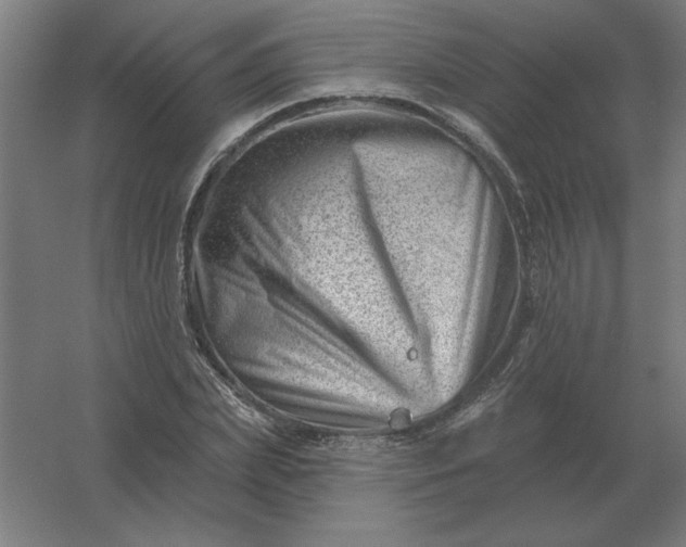 X0000054420831200508121749