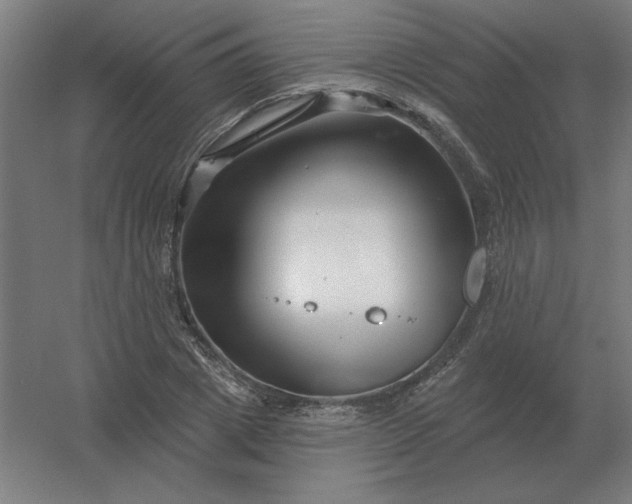 X0000054420833200508121749