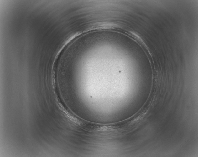 X0000054420835200508121749