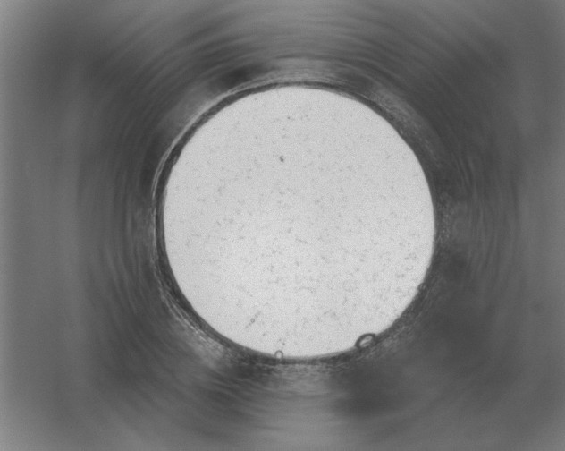 X0000054420836200508121749