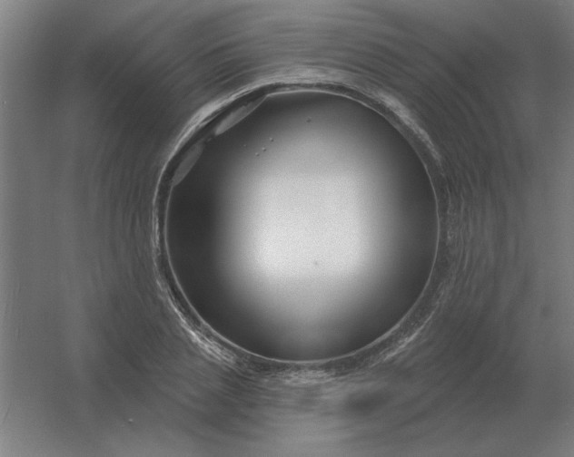 X0000054420837200508121749