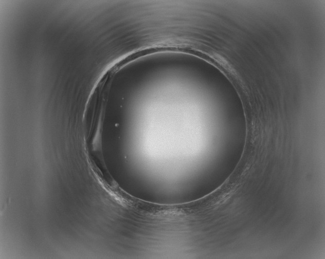 X0000054420838200508121749